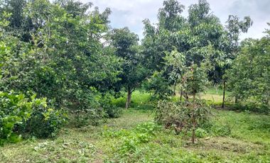 VENTA FINCA PRODUCTIVA - AGUA PROPIA - LA MESA CUNDINAMARCA-9762