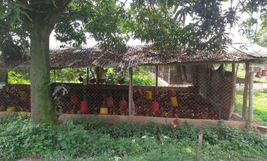 VENTA FINCA PRODUCTIVA - AGUA PROPIA - LA MESA CUNDINAMARCA-9762