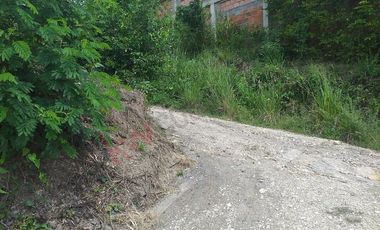 VENTA FINCA PRODUCTIVA - AGUA PROPIA - LA MESA CUNDINAMARCA-9762