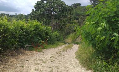 VENTA FINCA PRODUCTIVA - AGUA PROPIA - LA MESA CUNDINAMARCA-9762