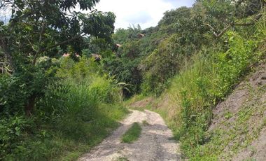 VENTA FINCA PRODUCTIVA - AGUA PROPIA - LA MESA CUNDINAMARCA-9762