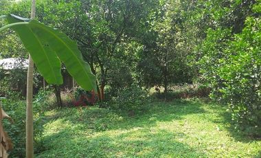 VENTA FINCA PRODUCTIVA - AGUA PROPIA - LA MESA CUNDINAMARCA-9762