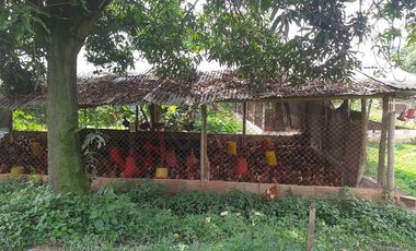 VENTA FINCA PRODUCTIVA - AGUA PROPIA - LA MESA CUNDINAMARCA-9762