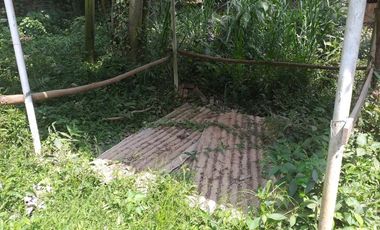VENTA FINCA PRODUCTIVA - AGUA PROPIA - LA MESA CUNDINAMARCA-9762