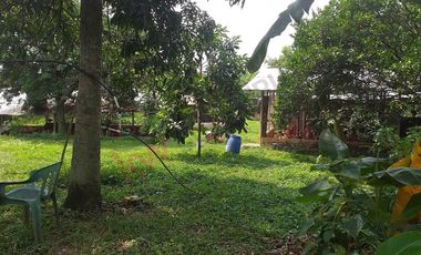 VENTA FINCA PRODUCTIVA - AGUA PROPIA - LA MESA CUNDINAMARCA-9762