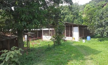 VENTA FINCA PRODUCTIVA - AGUA PROPIA - LA MESA CUNDINAMARCA-9762