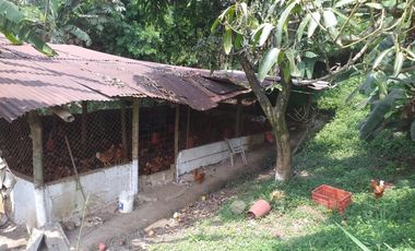 VENTA FINCA PRODUCTIVA - AGUA PROPIA - LA MESA CUNDINAMARCA-9762