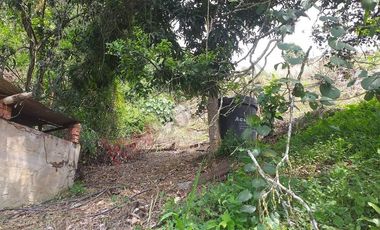 VENTA FINCA PRODUCTIVA - AGUA PROPIA - LA MESA CUNDINAMARCA-9762