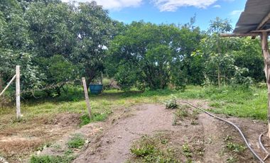 VENTA FINCA PRODUCTIVA - AGUA PROPIA - LA MESA CUNDINAMARCA-9762