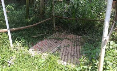 VENTA FINCA PRODUCTIVA - AGUA PROPIA - LA MESA CUNDINAMARCA-9762