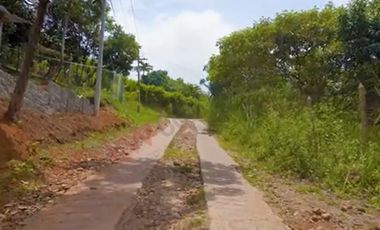 Venta Lote Esquinero, Medio Dapa Parcelación Los Gualandayes