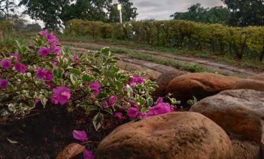 VENTA FINCA LA MESA CUNDINAMARCA SAN JOAQUIN VIA ANAPOIMA-6979