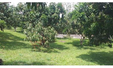 VENTA FINCA LA MESA CUNDINAMARCA SAN JOAQUIN VIA ANAPOIMA-6979