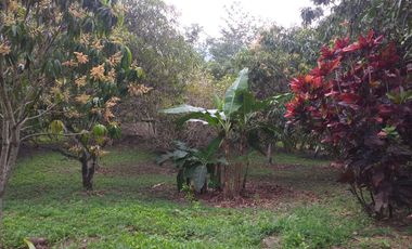 VENTA FINCA LA MESA CUNDINAMARCA SAN JOAQUIN VIA ANAPOIMA-6979