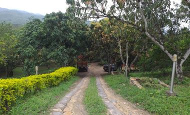 VENTA FINCA LA MESA CUNDINAMARCA SAN JOAQUIN VIA ANAPOIMA-6979