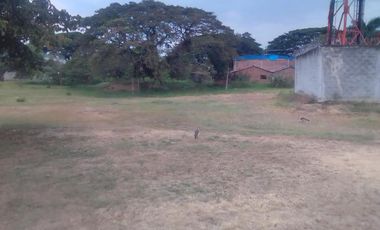 Vendemos Lote Sub Urbano  Palmaseca Palmira