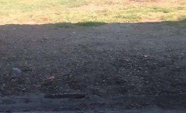 Vendemos Lote Sub Urbano  Palmaseca Palmira