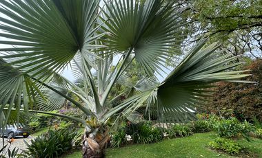 Renta - Finca En El Carmen De Viboral