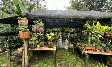Renta - Finca En El Carmen De Viboral