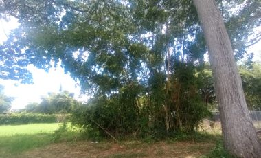 Venta Lote Rozo 1.926 Mt2 Zona Exclusiva A 15 Minutos De Cali