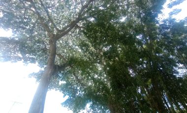 Venta Lote Rozo 1.926 Mt2 Zona Exclusiva A 15 Minutos De Cali