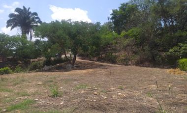 Lote En Venta - Vereda Trinidad - La Mesa - Cundinamarca