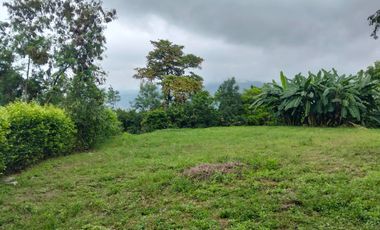 Lote En Venta - Vereda Trinidad - La Mesa - Cundinamarca