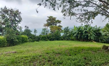 Lote En Venta - Vereda Trinidad - La Mesa - Cundinamarca