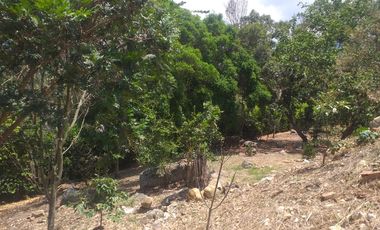 Lote En Venta - Vereda Trinidad - La Mesa - Cundinamarca