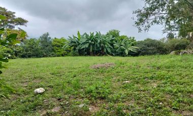 Lote En Venta - Vereda Trinidad - La Mesa - Cundinamarca