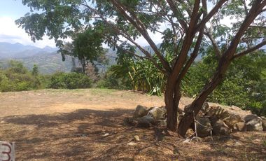 Lote En Venta - Vereda Trinidad - La Mesa - Cundinamarca
