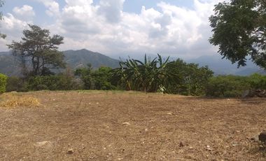Lote En Venta - Vereda Trinidad - La Mesa - Cundinamarca