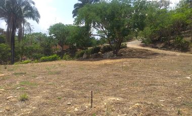 Lote En Venta - Vereda Trinidad - La Mesa - Cundinamarca