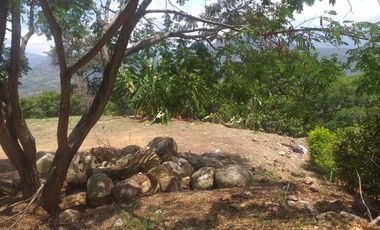 Lote En Venta - Vereda Trinidad - La Mesa - Cundinamarca