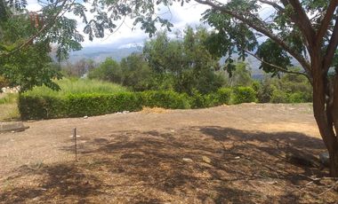 Lote En Venta - Vereda Trinidad - La Mesa - Cundinamarca