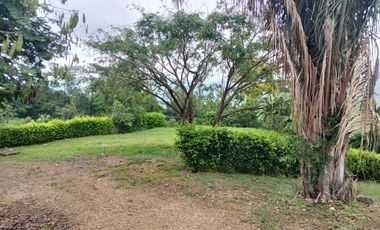 Lote En Venta - Vereda Trinidad - La Mesa - Cundinamarca