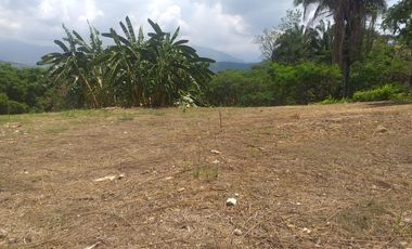 Lote En Venta - Vereda Trinidad - La Mesa - Cundinamarca