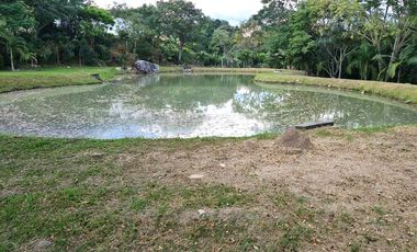 Lote En Venta - Vereda Trinidad - La Mesa - Cundinamarca