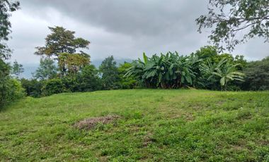 Lote En Venta - Vereda Trinidad - La Mesa - Cundinamarca
