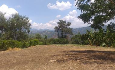 Lote En Venta - Vereda Trinidad - La Mesa - Cundinamarca
