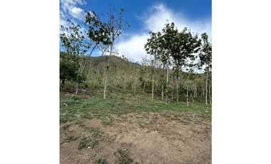 En venta lote Predio San marcos Yumbo (valle) Precio de Oportunidad
