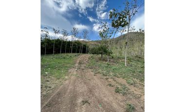 En venta lote Predio San marcos Yumbo (valle) Precio de Oportunidad