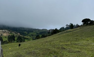 Increíble Finca En Sibaté: Espacio Privilegiado Para Relajarte Y Disfrutar
