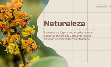 Vendo Lotes En Parcelacion _ San Jerónimo