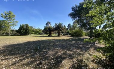Venta casa quinta de 4 ambientes con piscina en Villa San Luis - Florencio Varela