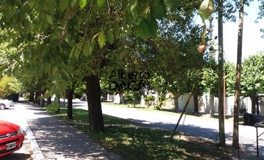 Departamento - Villa Elisa