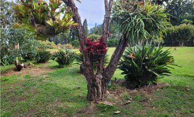 Venta de Finca en Guarne Excelente Ubicación Unidad Cerrada
