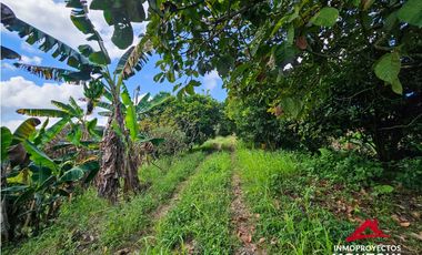 Increíble vista🔥 Casa-finca en Condina, Pereira