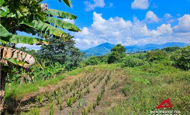 Increíble vista🔥 Casa-finca en Condina, Pereira