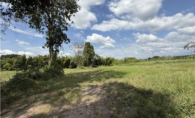 Se Venden Lotes Campestres Parcelacion Panaca Quimbaya